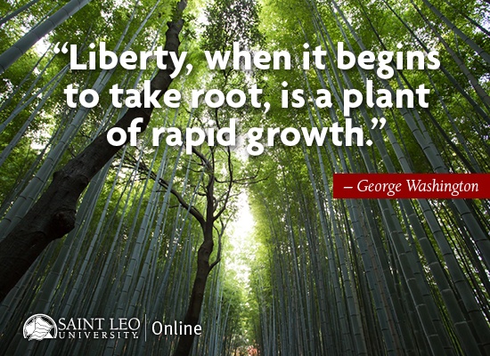 Liberty, when it begins to take root, is a plant of rapid growth. Quote by George Washington