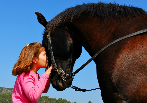 If the only prayer you ever say in your life is 'thank you,' it will be enough, image of child kissing horse
