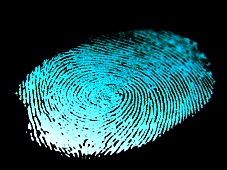 History and Science of Criminal Identification - online criminal justice degree, image of glowing fingerprint 