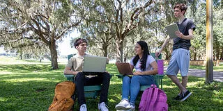 Students studying outside