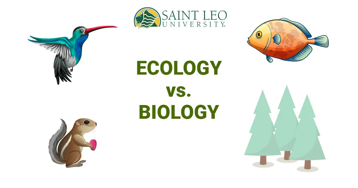 A graphic that says 'Ecology vs. Biology' and includes small graphics of a tree, fish, bird, and raccoon, along with the Saint Leo University logo