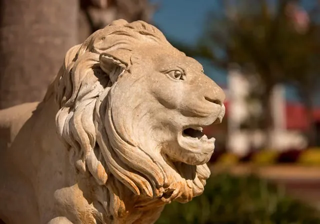 image of lion statue on Saint Leo University campus