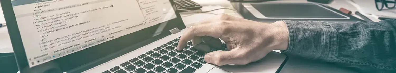 information technology degree - image of individual working on laptop