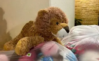 Teddy-bear-on-pile