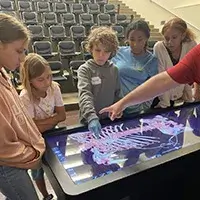 Students view image of a body on an anatomage