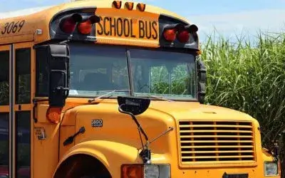 Web-story-schoolbus