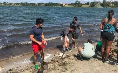 web-image-shoreline-restoration-lake-jovita