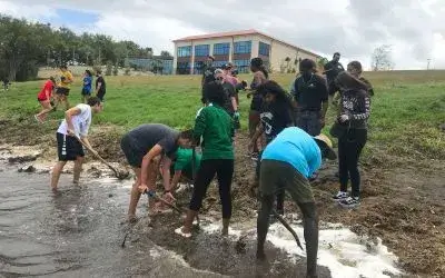 web-image-shoreline-restoration-students