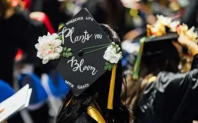 web-image-mortarboard