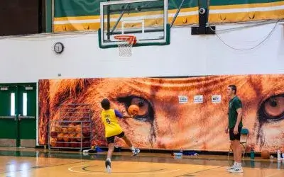 web-image-buzzer-beater-summer-camp
