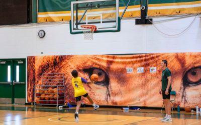 web-image-buzzer-beater-summer-camp